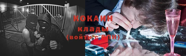 дурь Лабытнанги