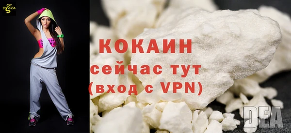 дурь Лабытнанги