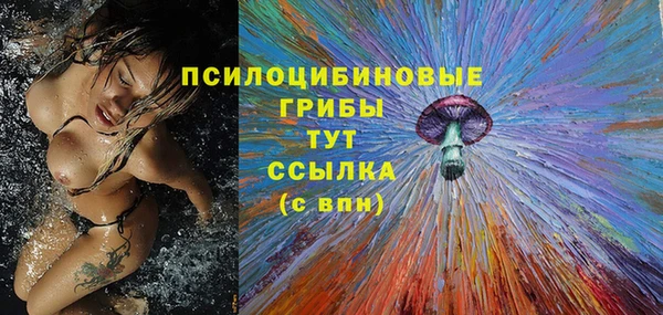 дурь Лихославль